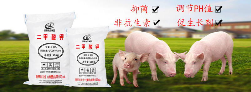 二甲酸鉀在成熟的替抗方案中除了能抗菌還具備哪些功效？